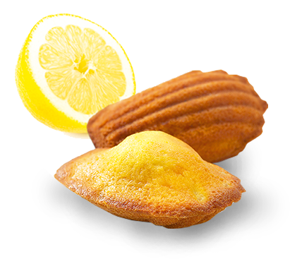 madeleine et citron