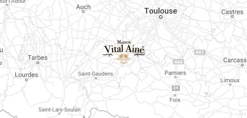 Adresse Vital Ainé Martes-Tolosane